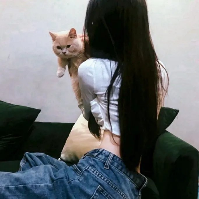 糊涂舰长
